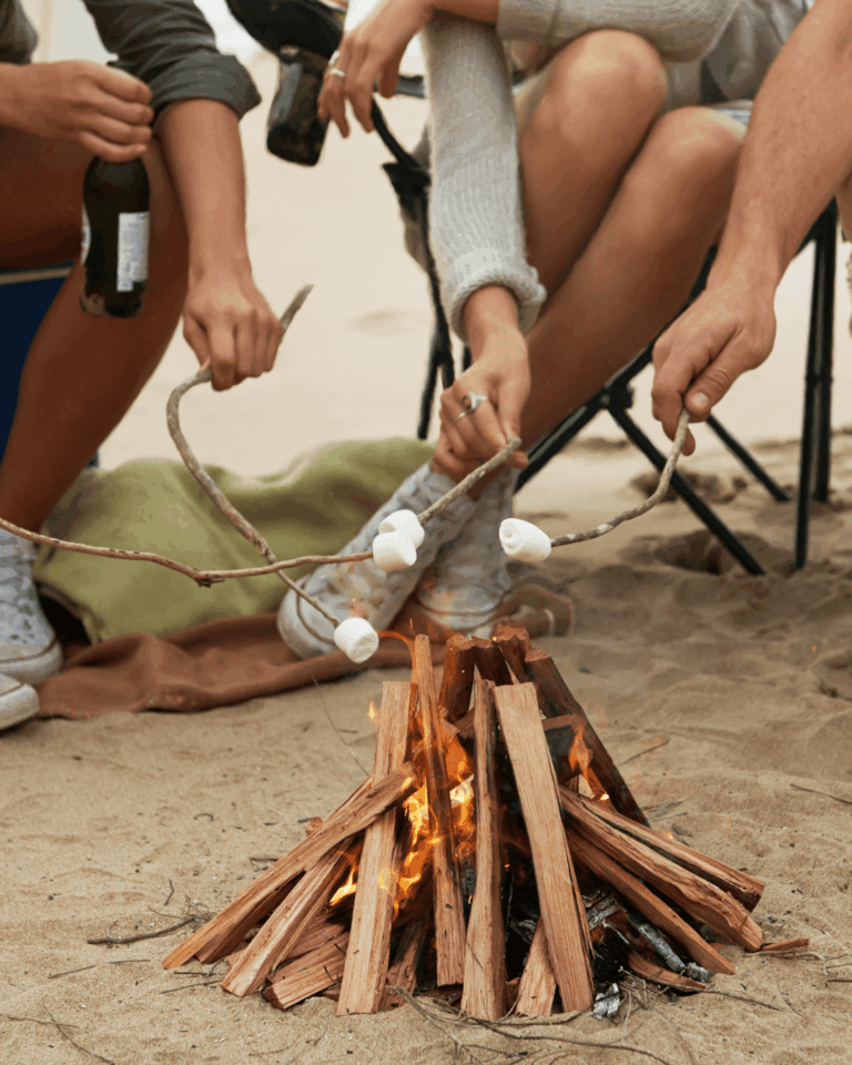 Roasting marshmallows on a campfire