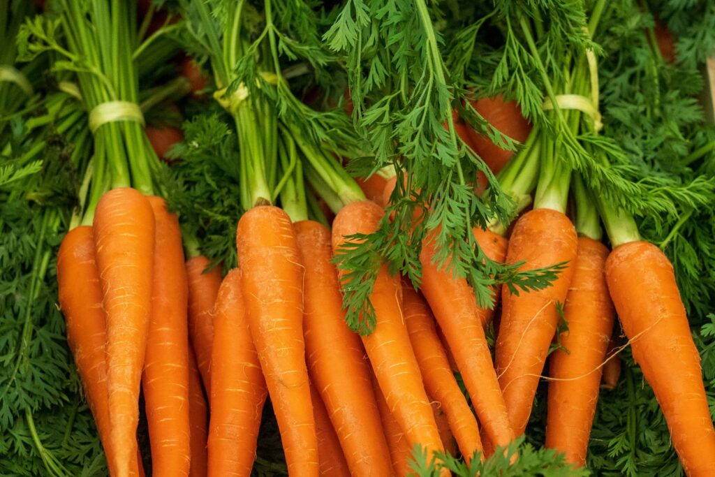 bunch of carrots