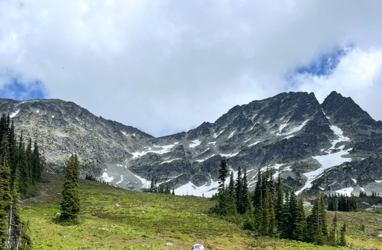 mountain view