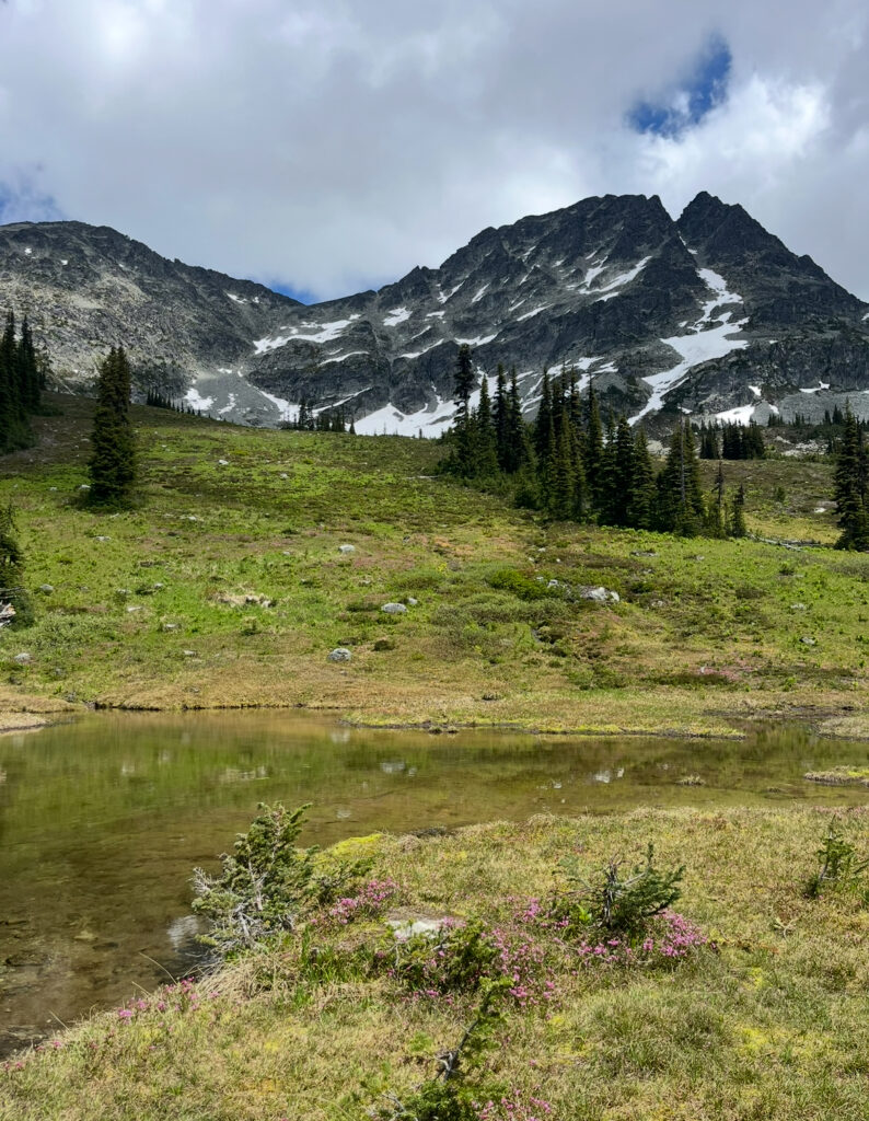 alpine pond with grass field and mountain views.